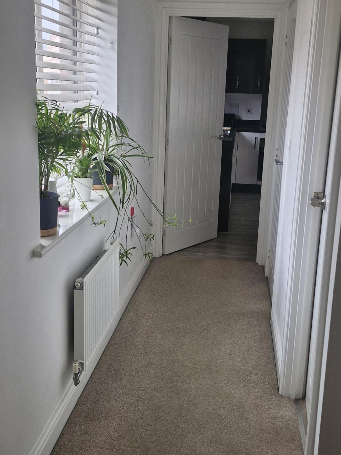Modern Double Room With En-Suite, Parking & Fast Wifi - Close To Beach Sandgate Eksteriør bilde